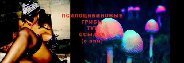 PSILOCYBIN Алексин