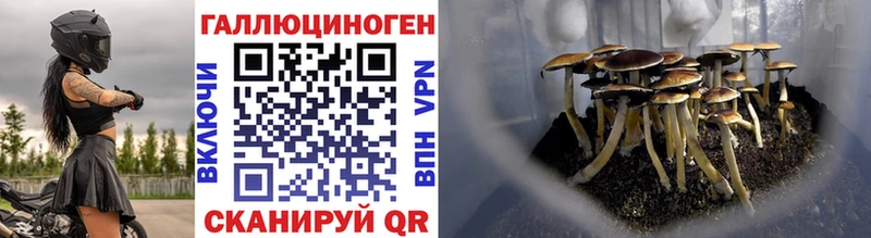 наркотики  Ступино  Галлюциногенные грибы Psilocybe 